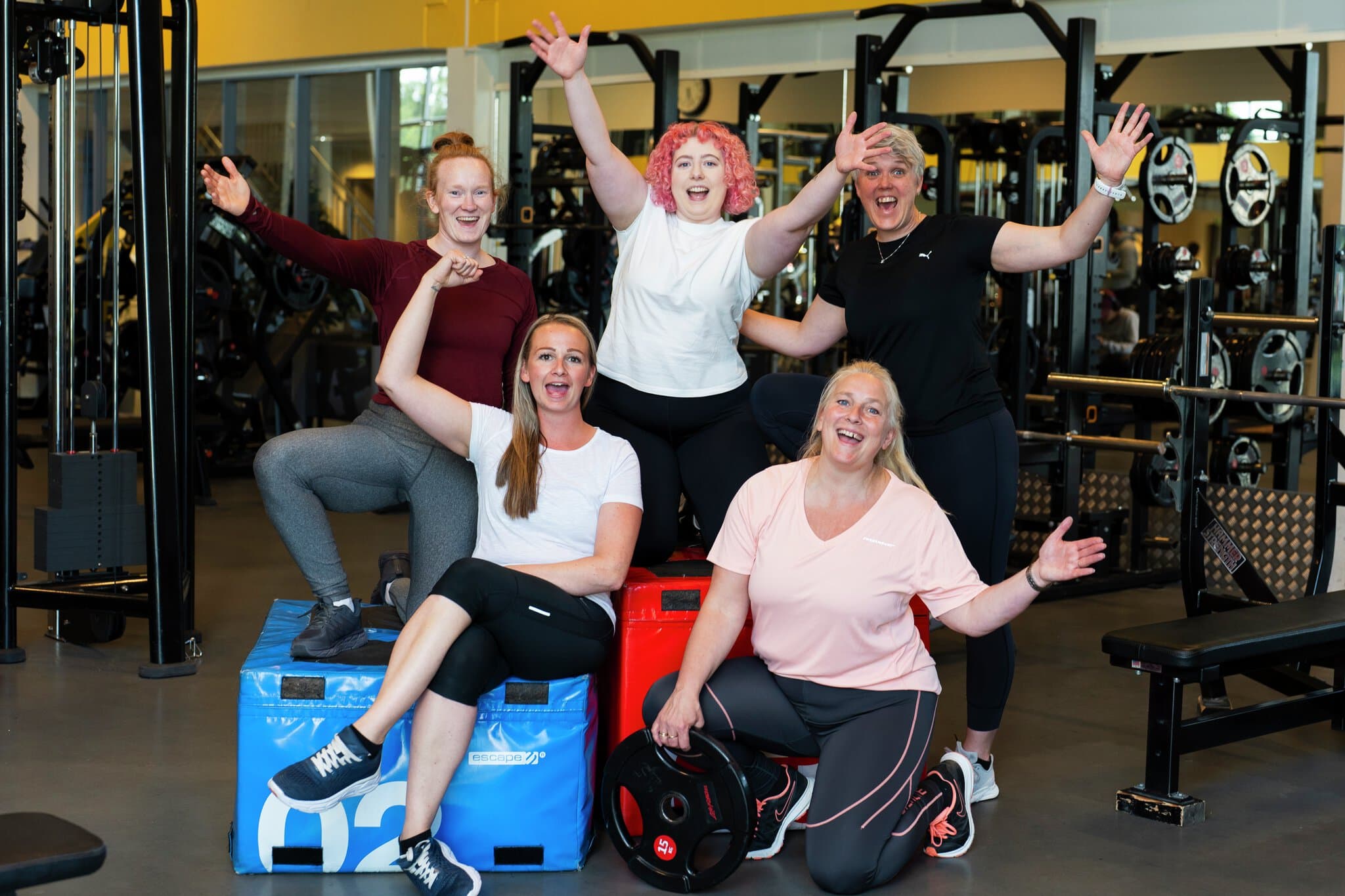 Mysen Trening