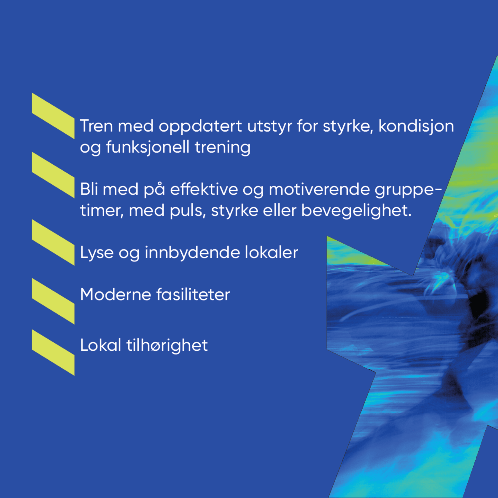 Horten Focus_.v.4